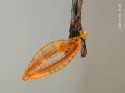 0_5518738_23355.jpg